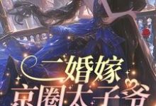 《二婚嫁京圈太子爷，前夫红了眼》完整版小说免费阅读-瑞奇文学