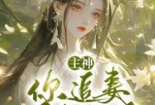 小说完整版《主神,你追妻又失败了?》免费阅读-瑞奇文学