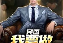 民国：我要做乱世枭雄小说最新章节在哪里可以读到？-瑞奇文学