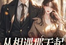 从相遇那天起，就注定解不开小说的免费阅读版本在哪里可以找到？-瑞奇文学