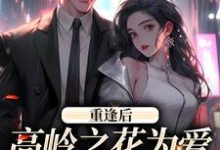 重逢后，高岭之花为爱变身追妻狂魔小说有没有完结版在线？-瑞奇文学