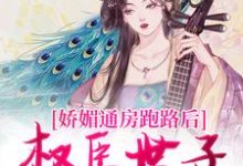 完整版《娇媚通房跑路后，权臣世子红了眼》小说免费阅读-瑞奇文学