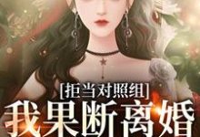 小说《拒当对照组，我果断离婚逃离渣夫》章节免费阅读-瑞奇文学