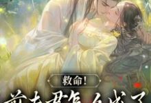 哪里能找到爱你太苦，这辈子打死我都不嫁了小说的全部章节？-瑞奇文学