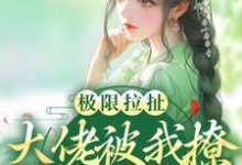 沈淮旭柳锦棠完整版小说免费阅读-瑞奇文学