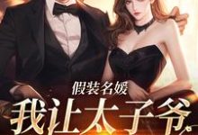 假装名媛，我让太子爷低头宋宜珠邵寅辞小说大结局免费试读-瑞奇文学