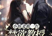 辛知遥周霁小说完整版《小娇妻眼一红，禁欲教授揽腰哄》免费阅读-瑞奇文学