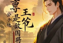 启禀王爷，公子他是敌国将军小说的无弹窗阅读体验，寻找免费阅读网站-瑞奇文学