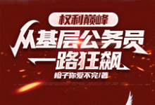 权力巅峰：从基层公务员一路狂飙免费阅读，权力巅峰：从基层公务员一路狂飙章节目录-瑞奇文学