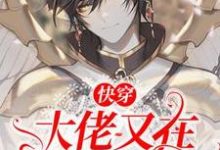 快穿：大佬又在虐渣了免费阅读，快穿：大佬又在虐渣了章节在线阅读-瑞奇文学