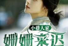 小巷人家：姗姗来迟小说阅读，小巷人家：姗姗来迟完结版-瑞奇文学