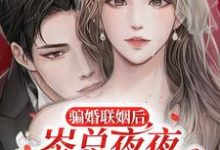 求骗婚联姻后，岑总夜夜诱哄心尖宠小说免费资源-瑞奇文学