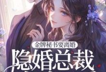《金牌秘书要离婚，隐婚总裁全球示爱！》小说免费阅读完整版-瑞奇文学