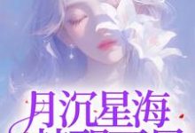 小说《月沉星海，梦醒不见》章节免费阅读-瑞奇文学