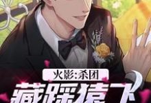 求火影：杀团藏踩猿飞，我无敌了小说的全文免费阅读链接-瑞奇文学