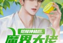 陈念小说叫什么(觉醒神格后,魔界大佬举家搬迁完整版免费阅读)-瑞奇文学