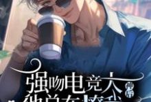 小说《吻了电竞大神后他总在撩我》章节免费阅读-瑞奇文学