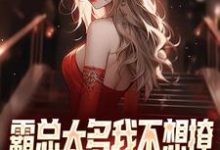 小说《霸总太多我不想撩，唯爱女主才最棒》完整版章节免费阅读-瑞奇文学