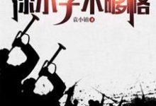 求抗战:跟咱比资历?你小子不够格小说免费资源-瑞奇文学