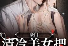 豪门:清冷美女把总裁撩炸了小说的无弹窗阅读体验,寻找免费阅读网站-瑞奇文学