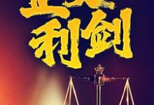 丁云松关婷婷小说在线章节免费阅读(正义利剑无弹窗无删减)-瑞奇文学
