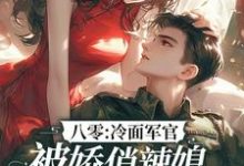 八零：冷面军官被娇俏辣媳狠狠拿捏小说，八零：冷面军官被娇俏辣媳狠狠拿捏在线阅读-瑞奇文学