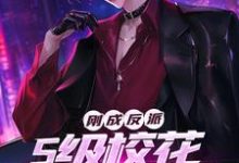 已完结小说《刚成反派,S级校花疯狂倒贴?》在线章节阅读-瑞奇文学