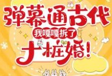 弹幕通古代，我嘎嘎拆了十桩婚！章节免费在线阅读，叶晴沈霜羽完结版-瑞奇文学