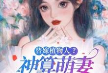 小说《替嫁植物人？神算萌妻是大佬！》完整版在线章节免费阅读-瑞奇文学