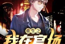 重生之我在官场一路狂飙小说全文哪里可以免费看？-瑞奇文学