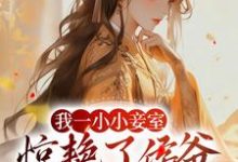 我一小小妾室，惊艳了侯爷很合理吧免费阅读，我一小小妾室，惊艳了侯爷很合理吧章节目录-瑞奇文学