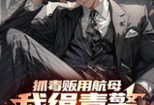 抓毒贩用航母？我缉毒警无限摇人秦峰在线章节免费阅读-瑞奇文学