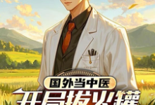 国外当中医，开局拔火罐震惊老外林飞，国外当中医，开局拔火罐震惊老外完整版最新章节-瑞奇文学