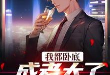 我都卧底成老大了，还不收网？小说的无弹窗阅读体验，寻找免费阅读网站-瑞奇文学