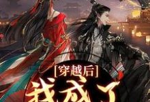 穿越后，我成了草原神医小说无弹窗阅读的网站推荐-瑞奇文学