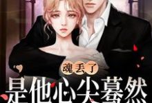 完整版的魂丢了，是他心尖蓦然颤动的声音小说在哪里可以免费读到？-瑞奇文学