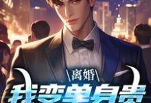 已完结小说《离婚:我变单身贵族强势追爱》章节在线阅读-瑞奇文学