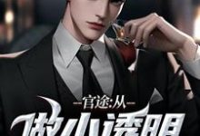 何涛完整版小说《官途:从做小透明开始》免费阅读-瑞奇文学