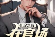 已完结小说《仕途之我在官场如鱼得水》章节免费阅读-瑞奇文学