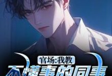 已完结小说《官场:我教不懂事的同事如何当官》章节在线阅读-瑞奇文学