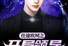 哪里能找到仕途坎坷之开局领导被祭天小说的最新更新和免费章节?-瑞奇文学