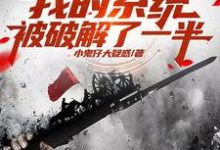 亮剑:我的系统被破解了一半小说的无弹窗阅读体验,寻找免费阅读网站-瑞奇文学