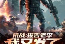 抗战:报告老李,我又发了笔小财苏辰,抗战:报告老李,我又发了笔小财小说免费阅读-瑞奇文学