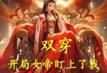 王宸完整版《双穿：开局女帝盯上了我》小说免费阅读-瑞奇文学