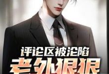 程毅瑞秋完整版《评论区被沦陷,老外狠狠羡慕了》小说免费阅读-瑞奇文学