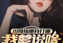 川哥指哪我打哪，我爹说啥就是啥苏城江川影在线章节免费阅读-瑞奇文学