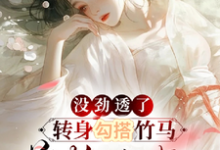 没劲透了,转身勾搭竹马首辅小叔沈蕴之宋窈窈小说在线章节目录阅读最新章节-瑞奇文学