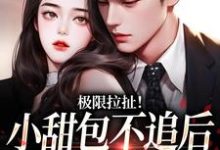 已完结小说《极限拉扯!小甜包不追后男神他慌了》在线章节阅读-瑞奇文学