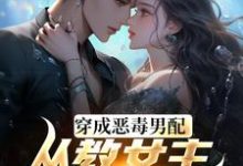 教女主厚脸皮,可没教她不要脸啊小说的免费电子版在哪里可以下载或阅读?-瑞奇文学