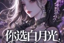 叶南星陆时宴小说《你选白月光,很好》在线阅读-瑞奇文学